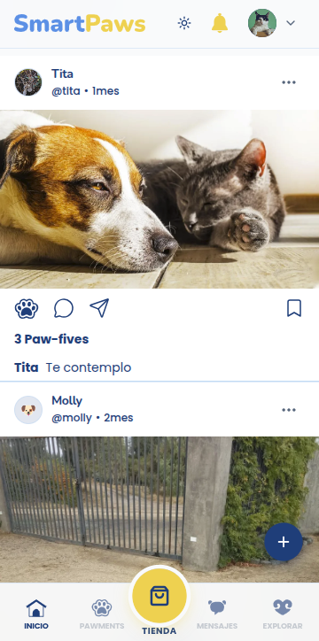 Feed Social